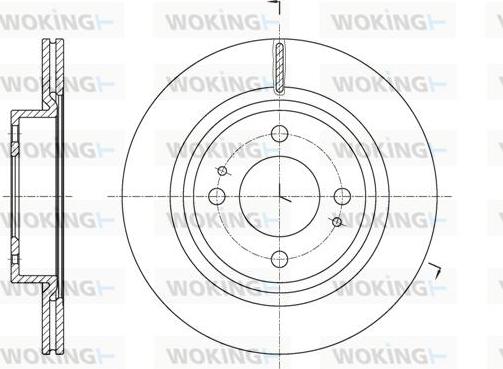 Woking D61621.10 - Disque de frein cwaw.fr