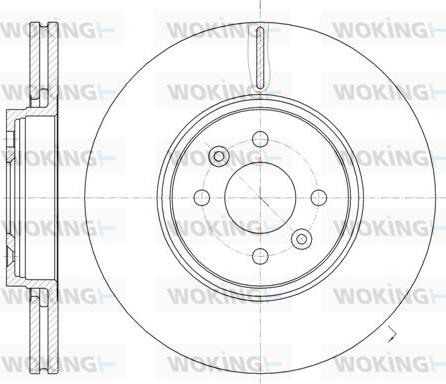 Woking D61049.10 - Disque de frein cwaw.fr