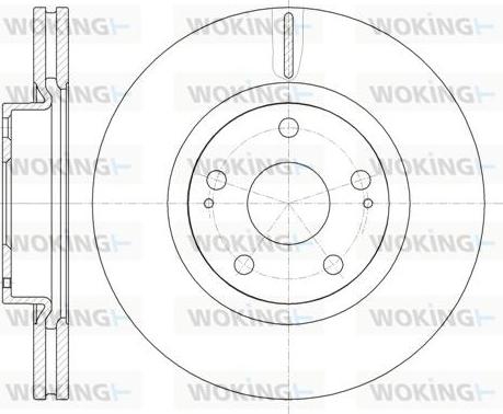 Woking D61050.10 - Disque de frein cwaw.fr