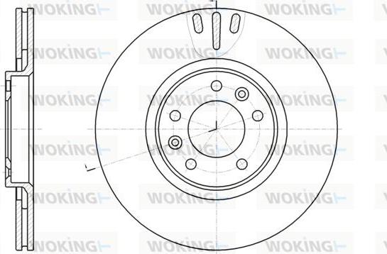 Woking D61051.10 - Disque de frein cwaw.fr