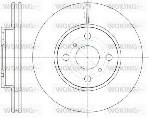 Woking D61005.10 - Disque de frein cwaw.fr