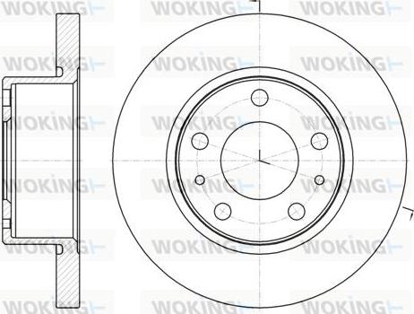 Woking D61007.00 - Disque de frein cwaw.fr