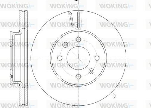 Woking D61023.10 - Disque de frein cwaw.fr