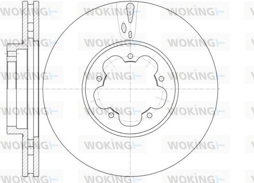 Woking D61022.10 - Disque de frein cwaw.fr