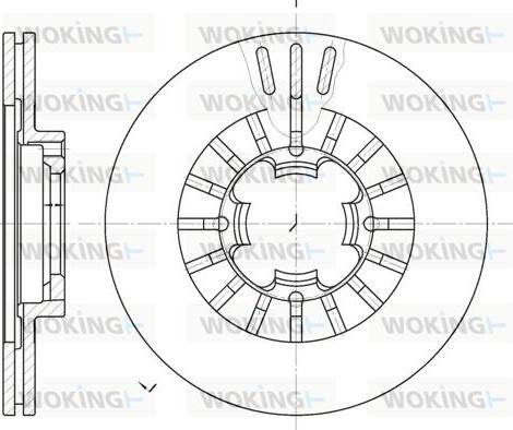 Woking D61109.10 - Disque de frein cwaw.fr