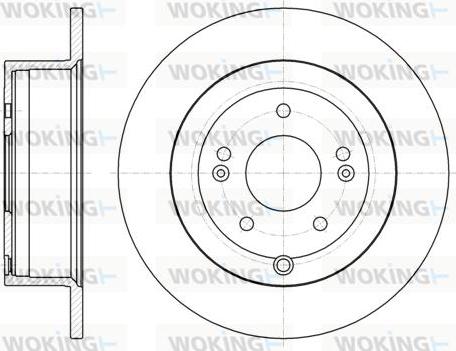 Woking D61106.00 - Disque de frein cwaw.fr