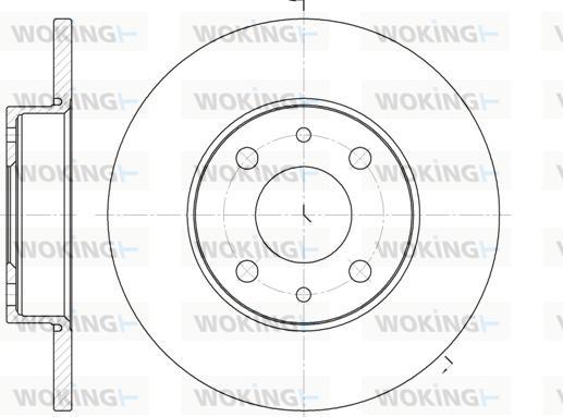 Woking D6110.01 - Disque de frein cwaw.fr