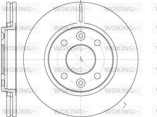 Woking D6117.10 - Disque de frein cwaw.fr