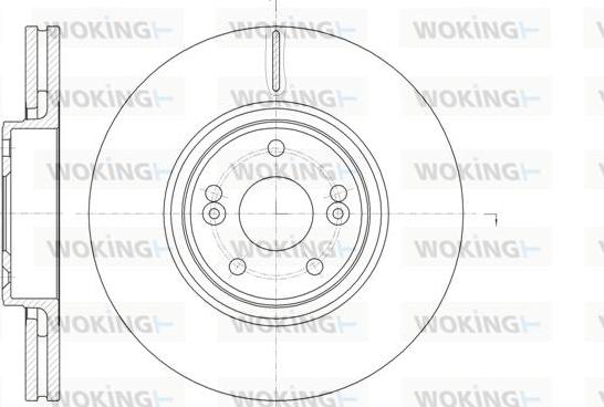 Woking D61171.10 - Disque de frein cwaw.fr