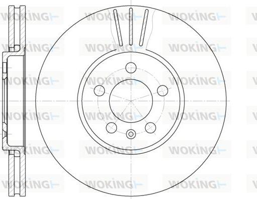 Woking D61860.10 - Disque de frein cwaw.fr