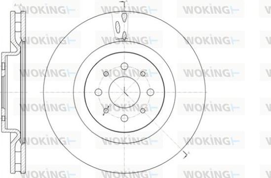 Woking D61391.10 - Disque de frein cwaw.fr