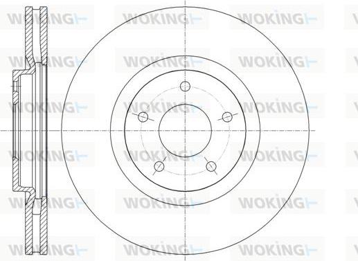 Woking D61349.10 - Disque de frein cwaw.fr