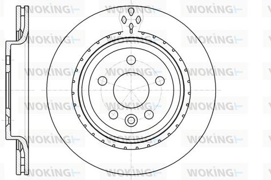 Woking D61305.10 - Disque de frein cwaw.fr