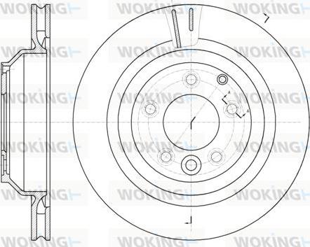 Woking D61302.10 - Disque de frein cwaw.fr