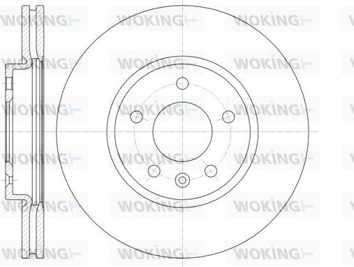 Woking D61314.10 - Disque de frein cwaw.fr