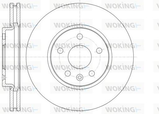 Woking D61313.10 - Disque de frein cwaw.fr