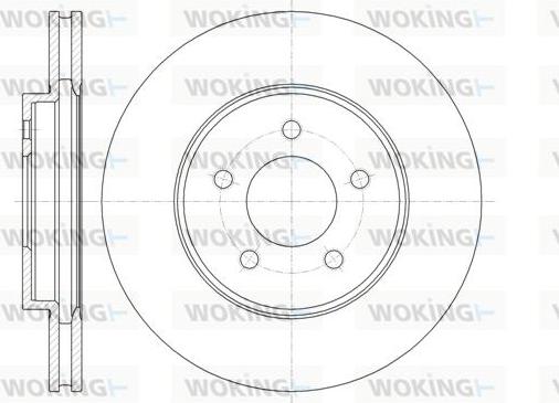 Woking D61376.10 - Disque de frein cwaw.fr