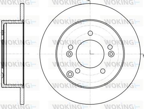 Woking D61293.00 - Disque de frein cwaw.fr