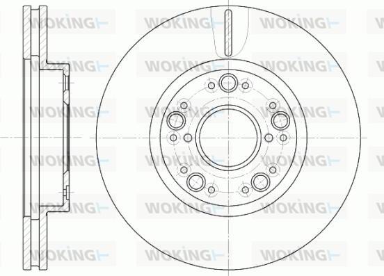 Woking D61251.10 - Disque de frein cwaw.fr