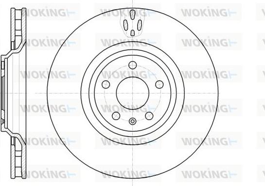 Woking D61213.10 - Disque de frein cwaw.fr