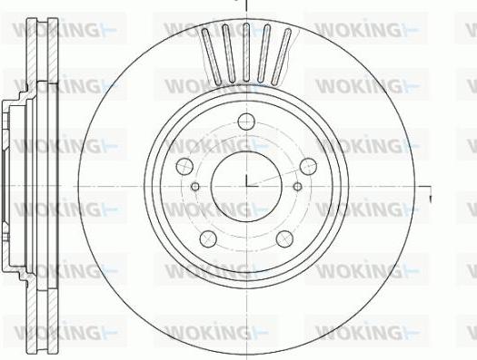 Woking D61228.10 - Disque de frein cwaw.fr