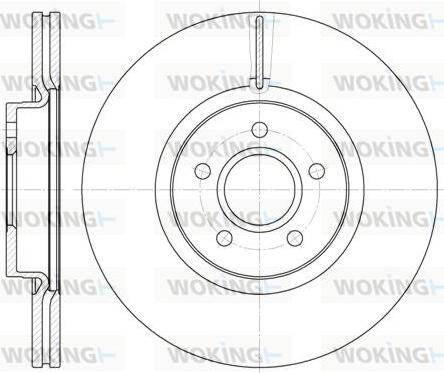 Woking D61223.10 - Disque de frein cwaw.fr