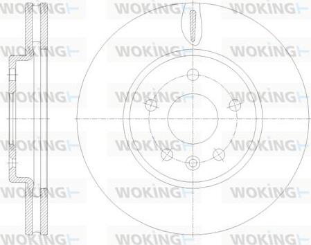 Woking D61793.10 - Disque de frein cwaw.fr