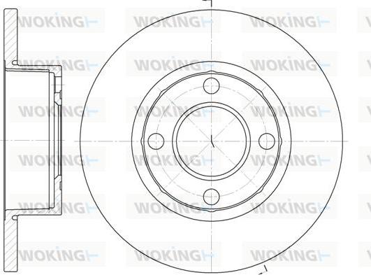 Woking D6173.00 - Disque de frein cwaw.fr