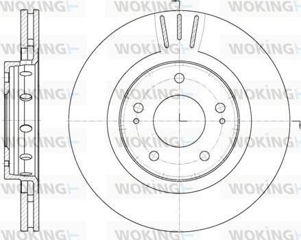 Woking D6896.10 - Disque de frein cwaw.fr