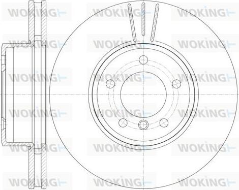 Woking D6853.10 - Disque de frein cwaw.fr