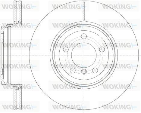 Woking D6852.10 - Disque de frein cwaw.fr