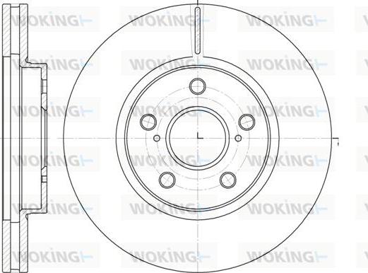 Woking D6862.10 - Disque de frein cwaw.fr