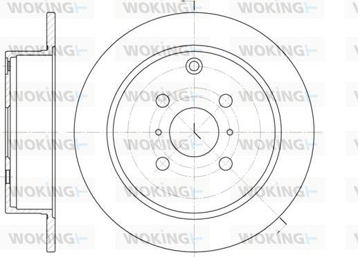 Woking D6805.00 - Disque de frein cwaw.fr