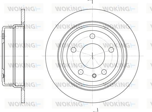 Woking D6309.00 - Disque de frein cwaw.fr