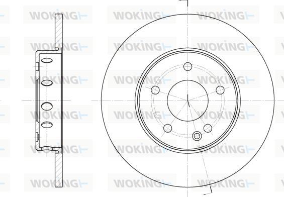 Woking D6310.00 - Disque de frein cwaw.fr