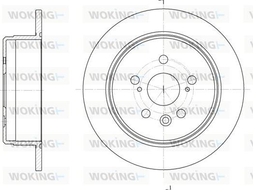 Woking D6245.00 - Disque de frein cwaw.fr