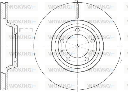 Woking D6247.10 - Disque de frein cwaw.fr