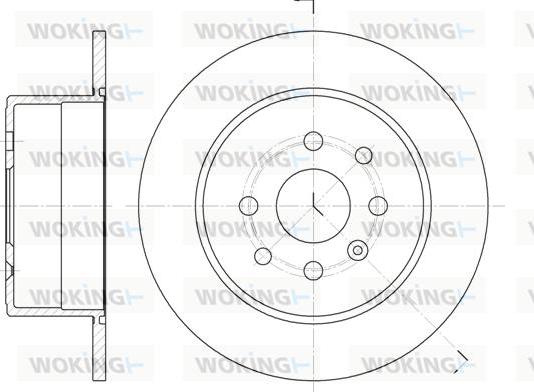 Woking D6252.00 - Disque de frein cwaw.fr