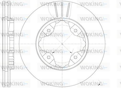 Woking D6205.10 - Disque de frein cwaw.fr