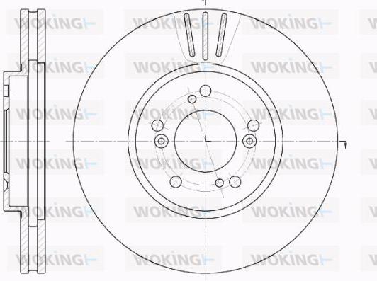 Woking D62031.10 - Disque de frein cwaw.fr