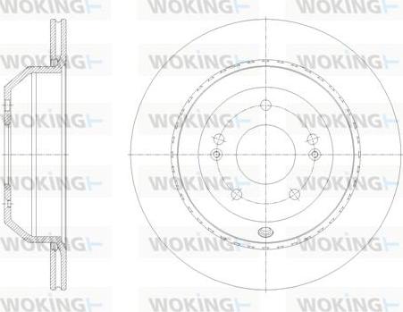 Woking D62123.10 - Disque de frein cwaw.fr