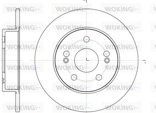 Woking D6239.01 - Disque de frein cwaw.fr