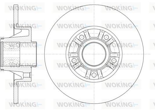 Woking D6733.20 - Disque de frein cwaw.fr