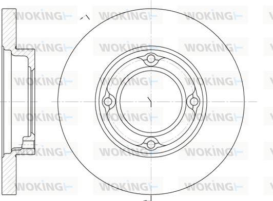 Woking D6770.00 - Disque de frein cwaw.fr