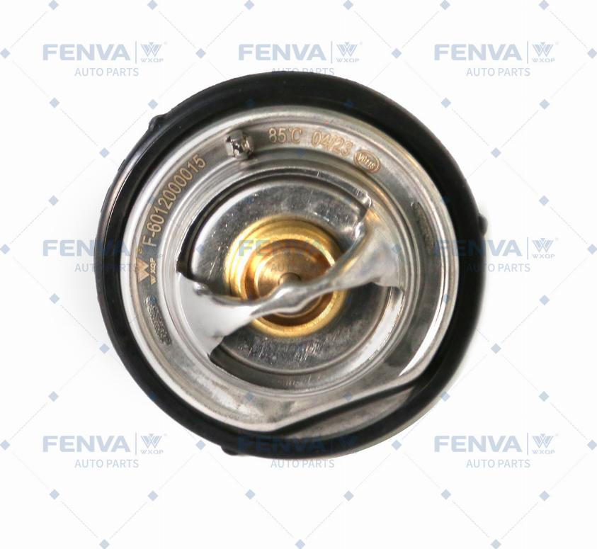 WXQP 120937 - Thermostat d'eau cwaw.fr