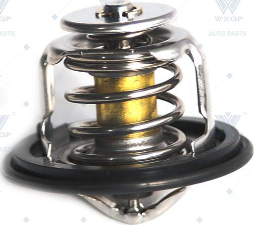 WXQP 20405 - Thermostat d'eau cwaw.fr