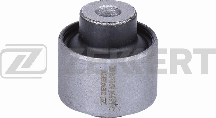 Zekkert GM-5554 - Suspension, bras de liaison cwaw.fr