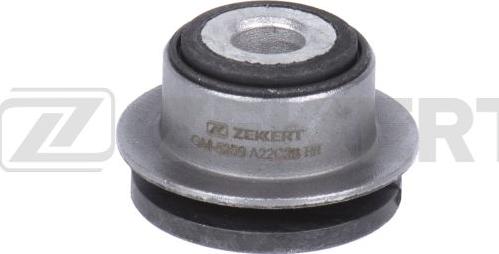 Zekkert GM-5209 - Suspension, corps de l'essieu cwaw.fr