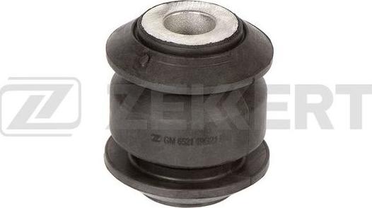 Zekkert GM-6521 - Suspension, bras de liaison cwaw.fr