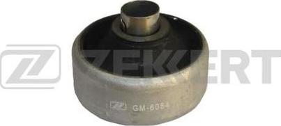 Zekkert GM-6084 - Suspension, bras de liaison cwaw.fr